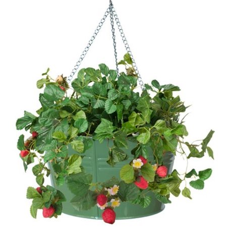 NEXT2NATURE Enameled Galvanized Hanging Strawberry & Flower Planter; Sage NE953191